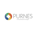 Pure natural energy service GmbH